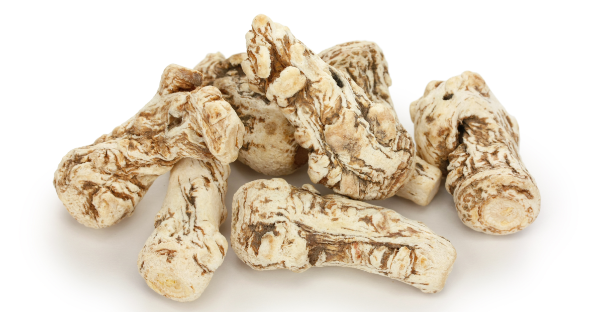10 Amazing Wellness Benefits of Dong Quai Root