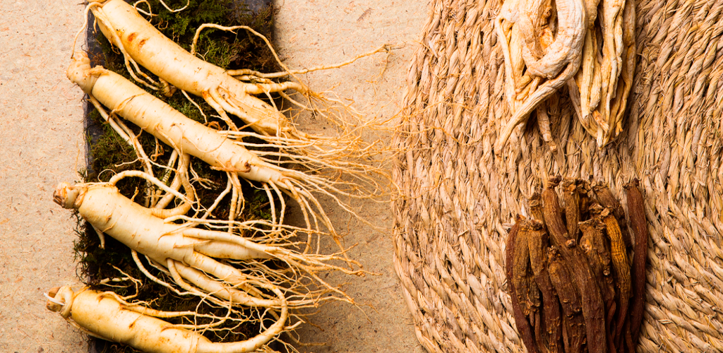 使用这些有用药材增加日常能量