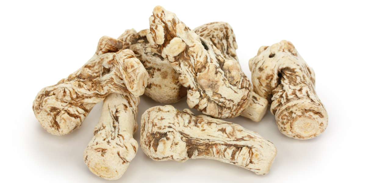 10 Amazing Benefits of Dong Quai Root — Solstice Medicine